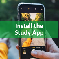 Install the Study App